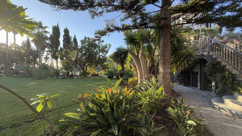 Common Areas - AlmaBella (Adults Only) La Palma (21)