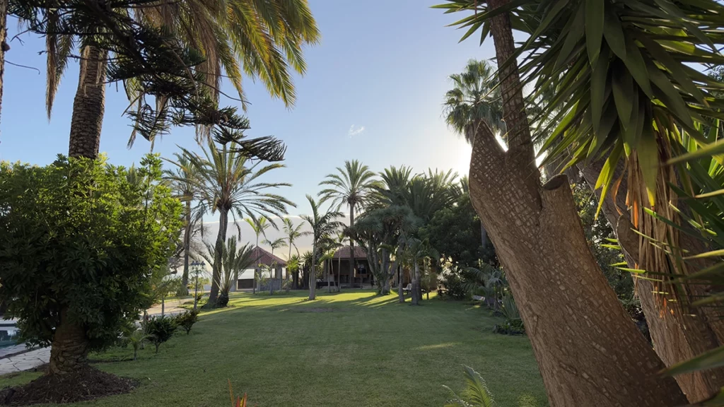 Common Areas - AlmaBella (Adults Only) La Palma (22)