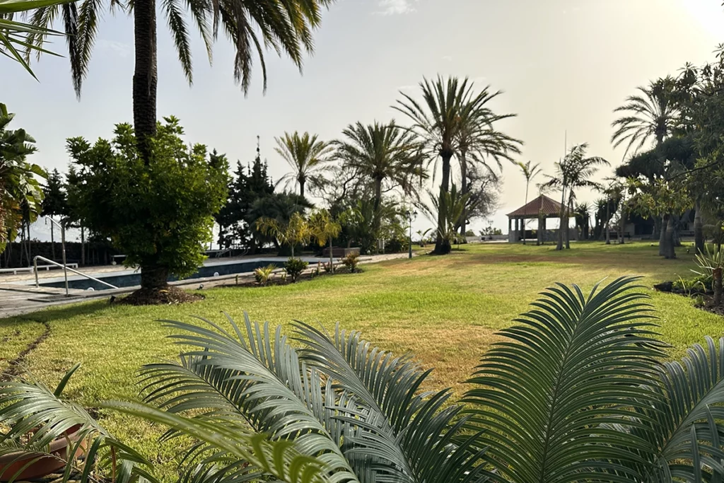 Common Areas - AlmaBella (Adults Only) La Palma (9)